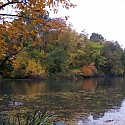 The Pond, Fall 2009